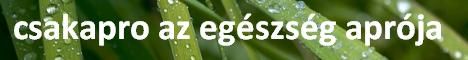 cs-banner1.jpg