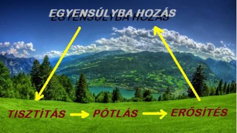 egyensulyba_hozas_a keleti medicin&aacute;val