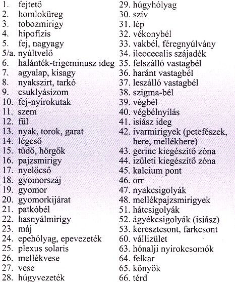 reflexzonak_talp_leiras.jpg